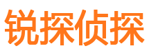 江东市调查公司